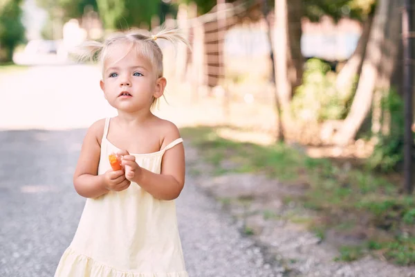 小女孩站在路上 手里拿着胡萝卜 高质量的照片 — 图库照片