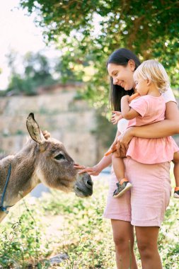 Annem kucağında küçük bir kızla bir eşeği okşuyor. Yüksek kalite fotoğraf