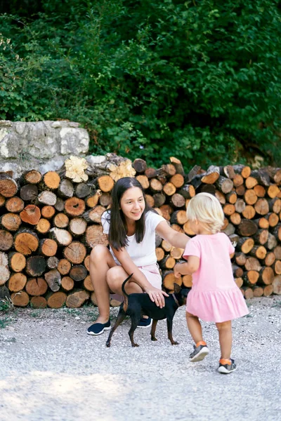 Mom with a little girl petting a dog near stacked firewood in the park. High quality photo