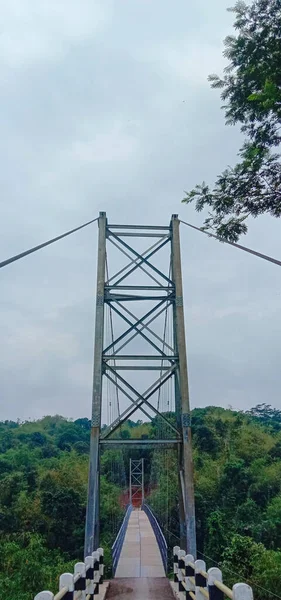 Ormandaki asma köprü