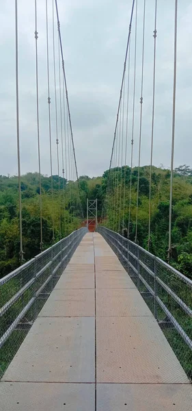 Ormandaki asma köprü