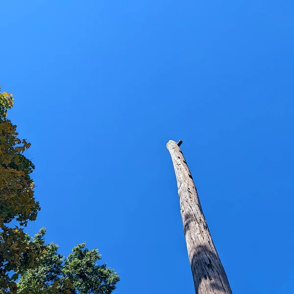 Olhando Para Cima Velho Poste Utilitário Com Céu Azul — Fotografia de Stock