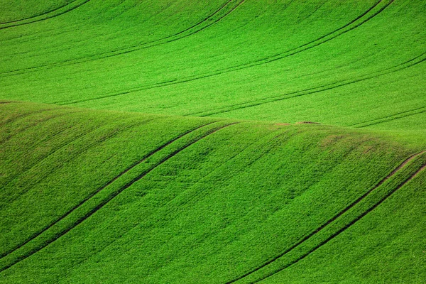 The green plain of Moravian Tuscany, located in the Czech Republic.