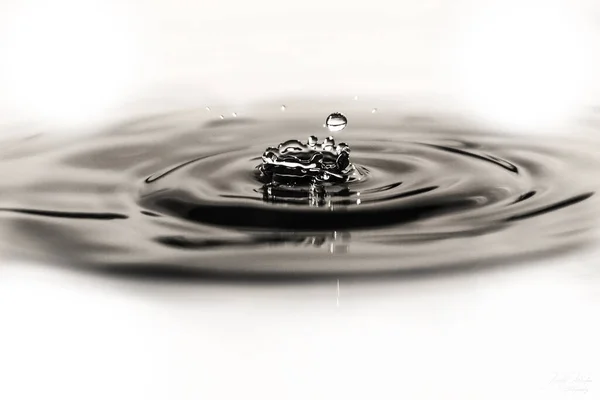 Falling Water Drops White Background — Stock Photo, Image