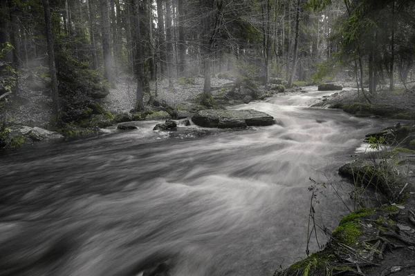 Autunno Fiume Selvatico Nella Foresta Con Nebbia Prima Congelare Natura — Foto Stock