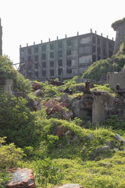 Hashima Island in Nagasaki city of Japan. Greenery at Battleship Island. Selective focus on grass.