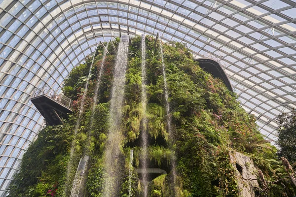Singapur Körfezi Yakınlarındaki Gardens Bulut Ormanı Kubbesi Doğa Geçmişi Seranın — Stok fotoğraf