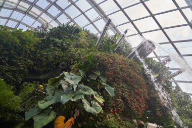Singapur, Singapur - 27 Mart 2016: Cloud Forest Dome at Garden By The Bay, Singapur.
