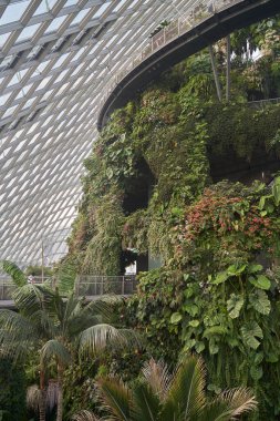 Singapur, Singapur - 27 Mart 2016: Cloud Forest Dome at Garden By The Bay, Singapur.