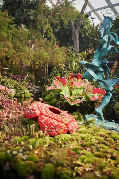 ชและดอกไม สวยงามท สวนร นหล งธรรมชาต — ภาพถ่ายสต็อก