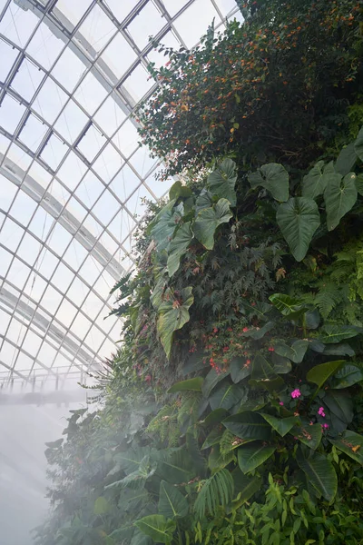 Singapur Singapur Mart 2016 Cloud Forest Dome Garden Bay Singapur — Stok fotoğraf