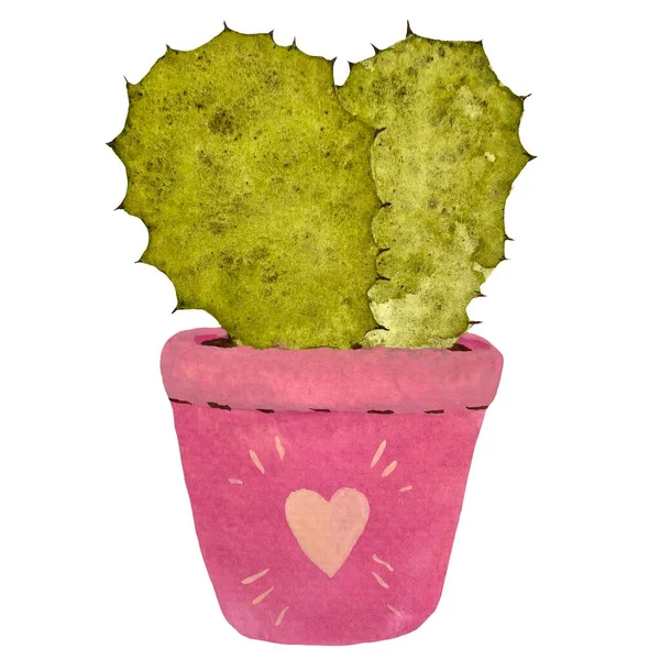 Kaktus Rosa Kruka Med Ljusrosa Hjärta Akvarell Illustration Handritad Bild — Stockfoto