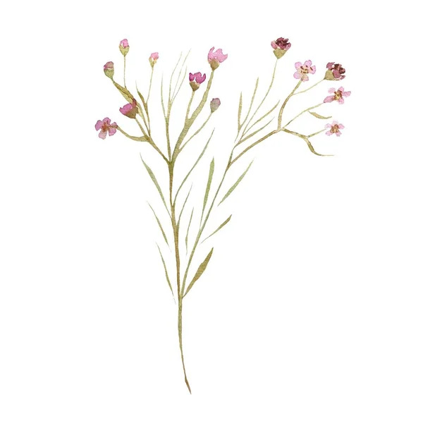 Yaprakları Olan Sevimli Güzel Pembe Çiçekler Suluboya Çizimi Kart Poster — Stok fotoğraf
