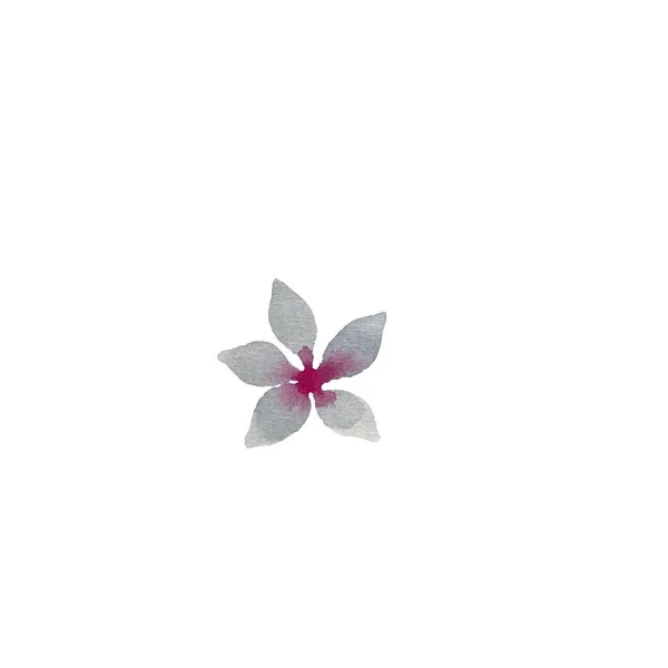 Uma Pequena Flor Violeta Fofa Uma Ilustração Aquarela Use Esta — Fotografia de Stock