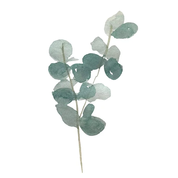 Zielony Niebieski Eukaliptus Słodka Prosta Ilustracja Akwarela Ręcznie Rysowany Obrazek — Zdjęcie stockowe