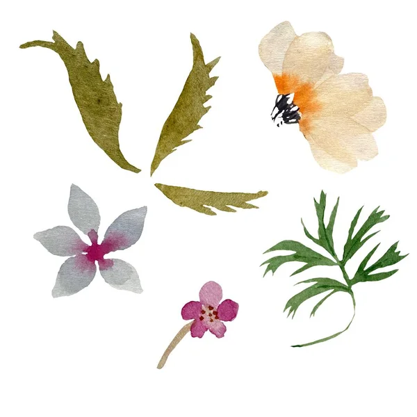 Leaves Flowers Set Cute Simple Watercolor Illustration Hand Drawn Pictures — Stock Photo, Image