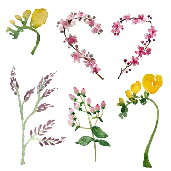 Japan Sakura Gelbe Freesie Und Zweig Rosa Blumen Aquarell Illustration — Stockfoto
