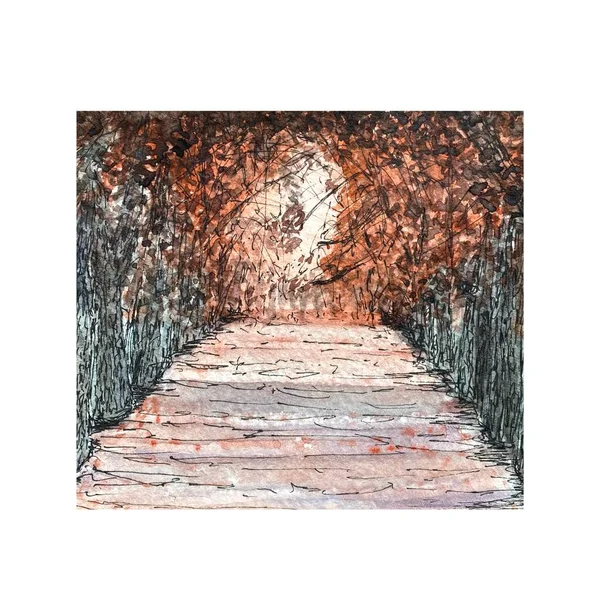 森の秋のスケッチ 手描きイラストをパーク水彩 カラフルな明るい 赤い葉 白い背景に隔離されている デザイン ポスター カード キャンバス 文房具のアブストラクト画像 — ストック写真