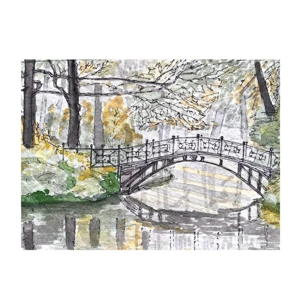 スケッチの森 公園や橋の水彩手のイラストを描いた カラフルな明るい 緑の葉 白い背景に隔離されている デザイン ポスター カード キャンバス 文房具のアブストラクト画像 — ストック写真