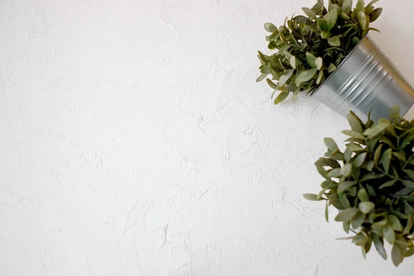White cloth background with leaf ornament in pot.
