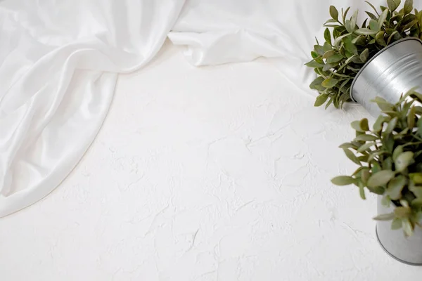 White cloth background with leaf ornament in pot.