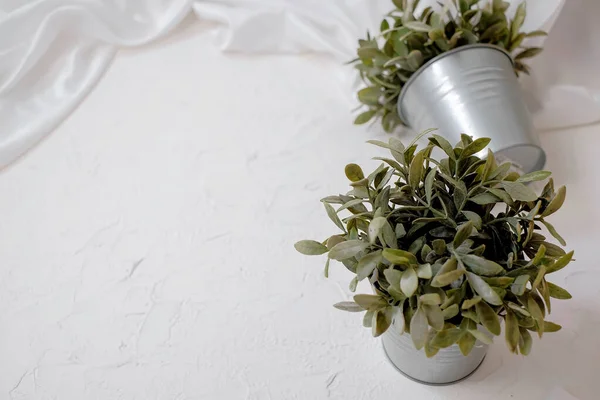 White cloth background with leaf ornament in pot.