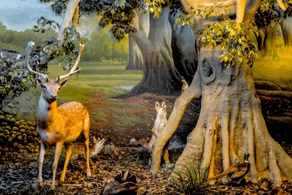 Deer Habitat Museum Gallery — Stock Photo, Image