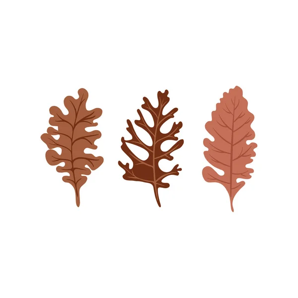 Noel tasarım elementleri, Noel süslemeleri.