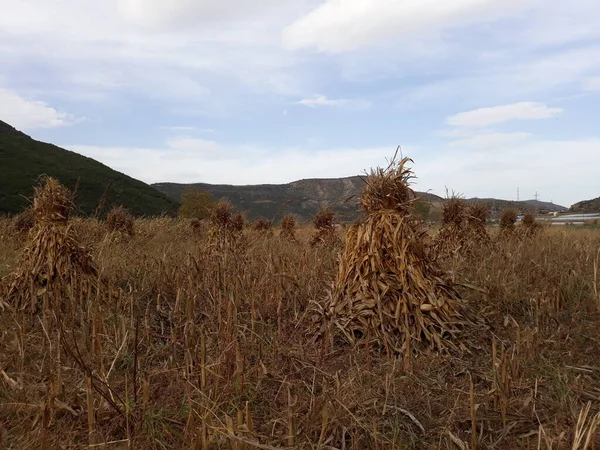 Most Scenic Natural Landscapes Albania Working Trip — Foto de Stock