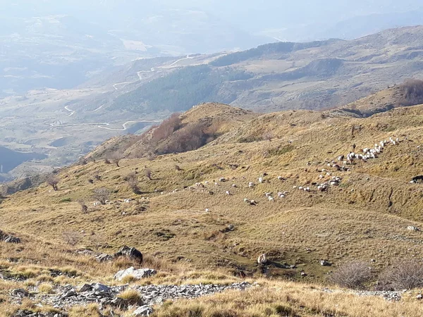 The Most Scenic Natural Landscapes in Albania - working Trip