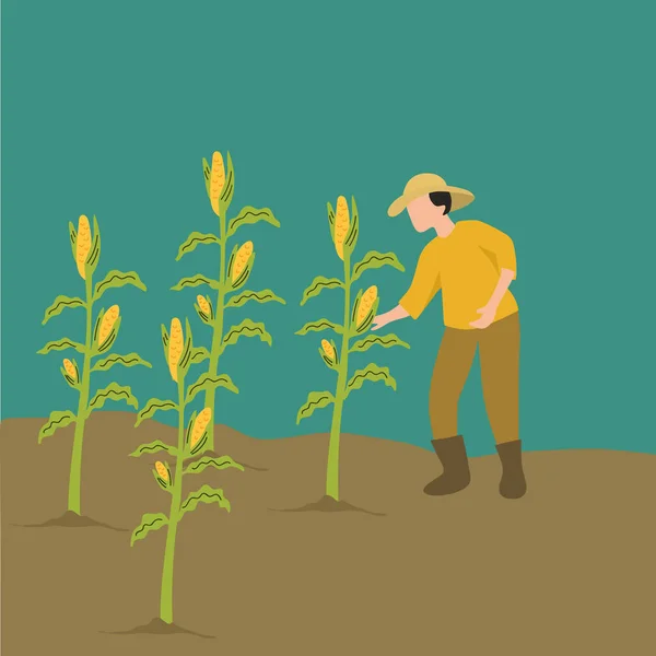 Simple Vector illustration background about young male farmer picking the corn on the tree. Happy Professional farmer. Farming challenge the minimalist concept. Modern design vector illustration
