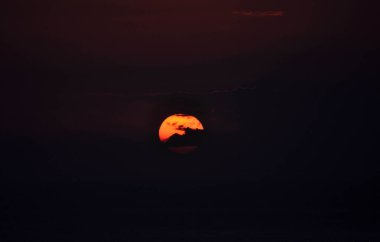silhouette of a scary halloween pumpkin on the dark background