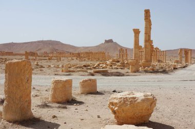 Palmira arkeolojik alanı 2015 yılında İsis tarafından kısmen yok edilmiştir (Fotoğraf: Elisa Gestri)
