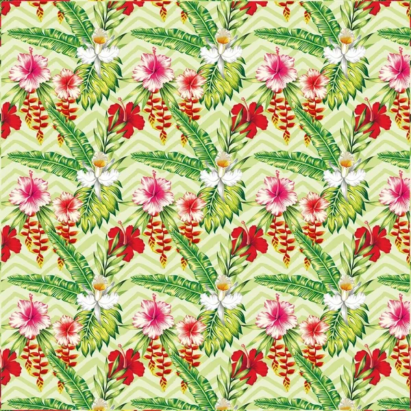 Ilustrație Hibiscus Frunze Palmier Orhidee Model Tapet — Fotografie, imagine de stoc