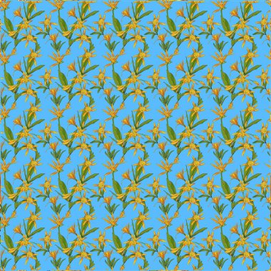 İllüstrasyon çiçeği zambakları desenli duvar kağıdı tasarımı sanat soyut 