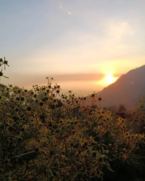 Beautiful View Munnar — Stock Photo, Image