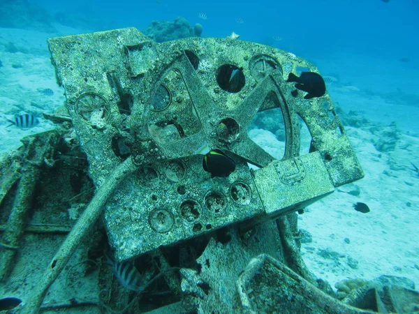 Airplane Wreck Underwater Rest Airplane Cockpit Japanesea Fying Boat Sunk — Φωτογραφία Αρχείου