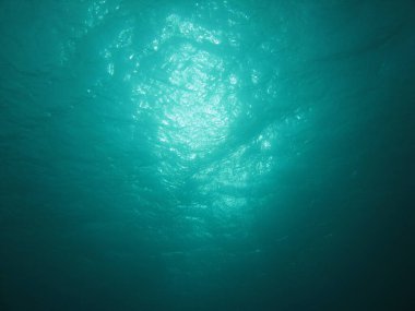 Sea surface seen from the bottom