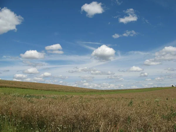 Landscape Grassland Hills Blue Sky Clouds — Foto de Stock