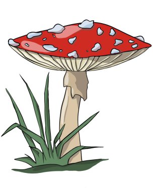 Color cartoon vector illustration of a fly agaric in the grass. For postcards banners and fairy tales. Autumn vibes