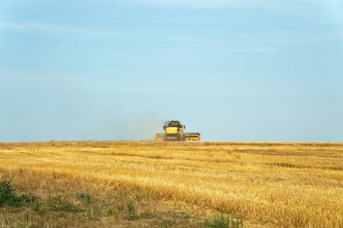 Hasadı birleştiren buğday biçer..