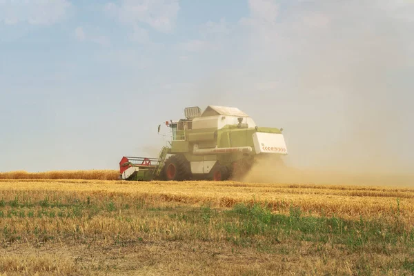 Combine Harvester Harvests Wheat Stock Image