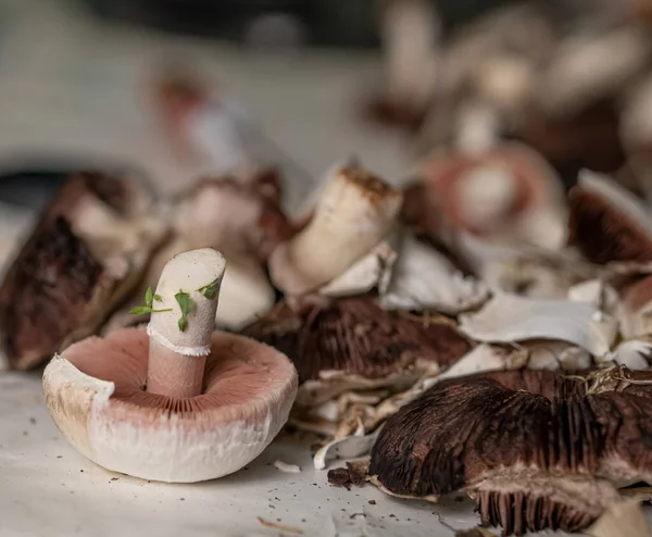 Sorting Cleaning Mushrooms Harvested Champignons Mushroom Growing — Stock Photo, Image