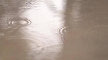 Sonbahar havası. Yağmur, yağmur damlaları. Suyun üstünde daireler. Rahatlatıcı yağmur sesi.