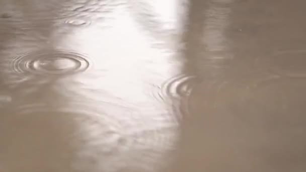 秋の気分だ雨だ雨だ 水の上の円 雨のリラックスした音 — ストック動画