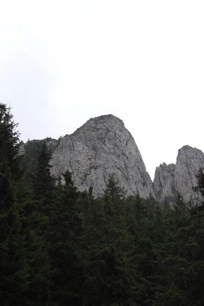 Mountain Formations Found Hasmas Route — стоковое фото