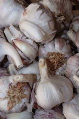 Biraz sarımsak karanfiline yakından bak. 