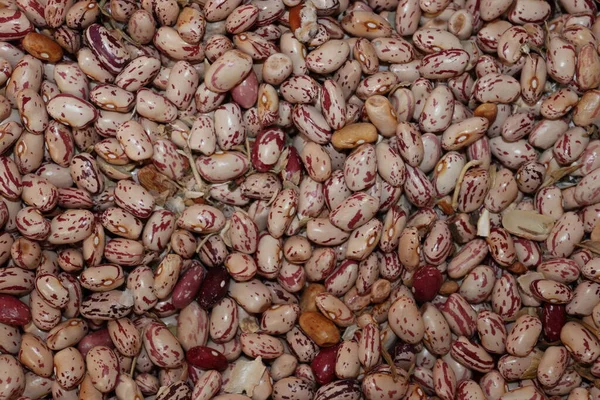 A closer look to beans that can formate a background