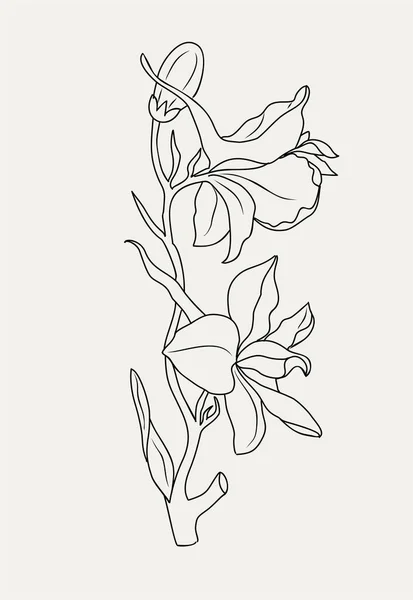 July Birth Month Flower Larkspur Line Art Vector Illustration Delphinium — Wektor stockowy