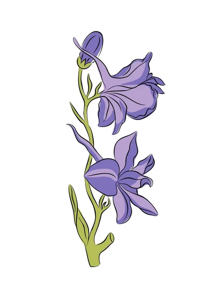 July Birth Month Flower Larkspur Colorful Vector Illustration Delphinium Plant — Wektor stockowy